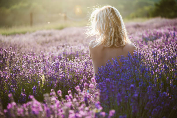 Naked woman posing in lavender field at sunset stock photo