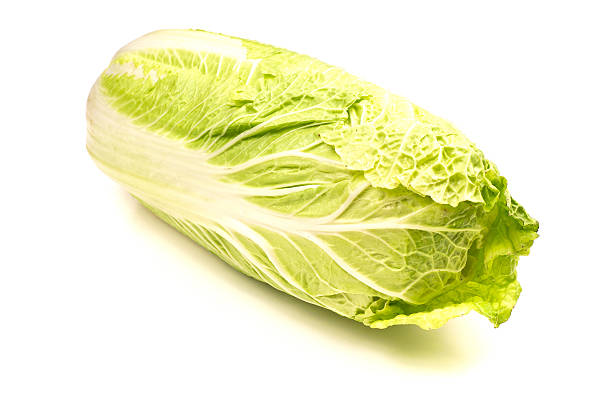 Napa cabbage stock photo