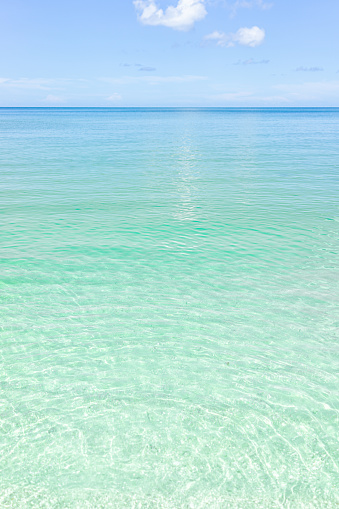 Naples beach in Southwest Florida with turquoise glass green idyllic water on sunny day with blue sky coast horizon in paradise, nobody in vertical view landscape