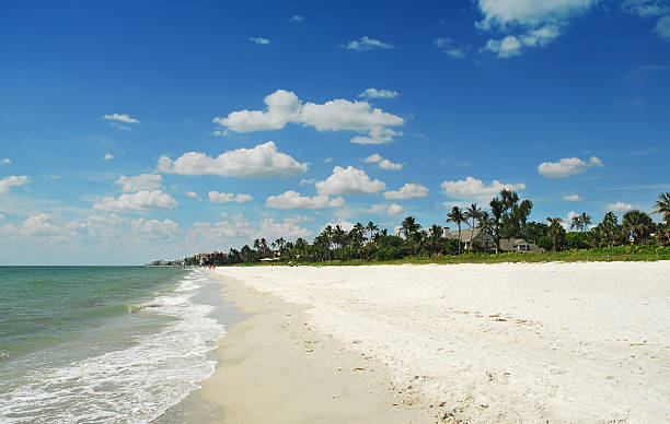 naples beach beach scenic in naples, florida naples florida beach stock pictures, royalty-free photos & images