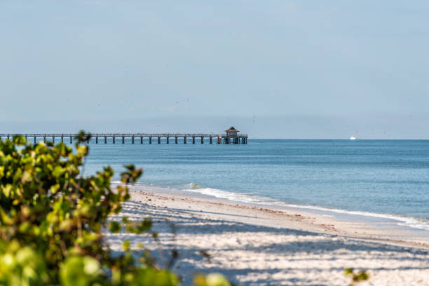 Naples, Florida in gulf of Mexico with Pier wooden jetty and horizon with blue ocean waves and sand in morning during day Naples, Florida in gulf of Mexico with Pier wooden jetty and horizon with blue ocean waves and sand in morning during day naples florida beach photos stock pictures, royalty-free photos & images