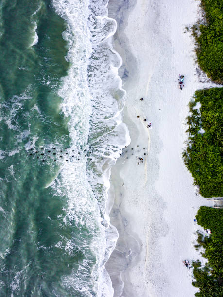 Naples Florida Old Pier Aerial An aerial image from a birds eye view of the Naples Florida beach and old pier pilings and the Gulf of Mexico naples florida beach photos stock pictures, royalty-free photos & images