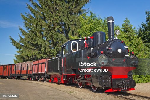 istock Narrow-gauge railway train 175195507