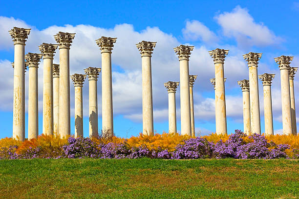 National Capitol Columns at sunset. The Capitol Columns designed as Corinthian columns in the Ellipse Meadow at the National Arboretum, Washington DC. arboretum stock pictures, royalty-free photos & images