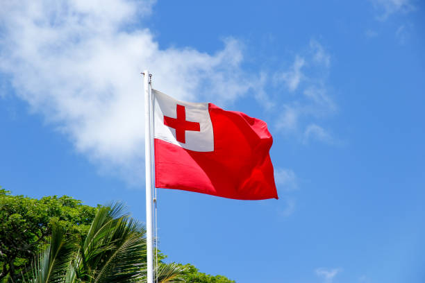 национальный флаг тонга на фоне голубого неба - tonga стоковые фото и изображения