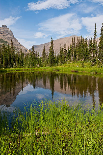 Mountains Reflected in an Alpine Lake National Parks offer an amazing array of stunning vistas that are accessible by simply pulling off the highway into a viewpoint. Then there are the out of the way places that are not even accessible by hiking trail. This beautiful unnamed alpine pond, 10 miles from the nearest road, was found a short distance from the Iceberg Lake Trail in Glacier National Park, Montana, USA. jeff goulden montana stock pictures, royalty-free photos & images