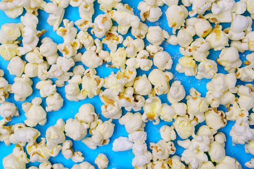 Popcorn raw organic yellow Corn on the Cob Ready to Eat. On blue background