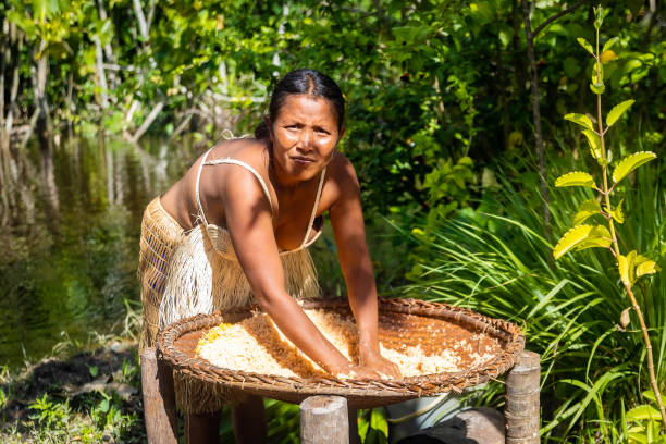 Native tribal Orinoco woman harvesting food from palm tree stock photo