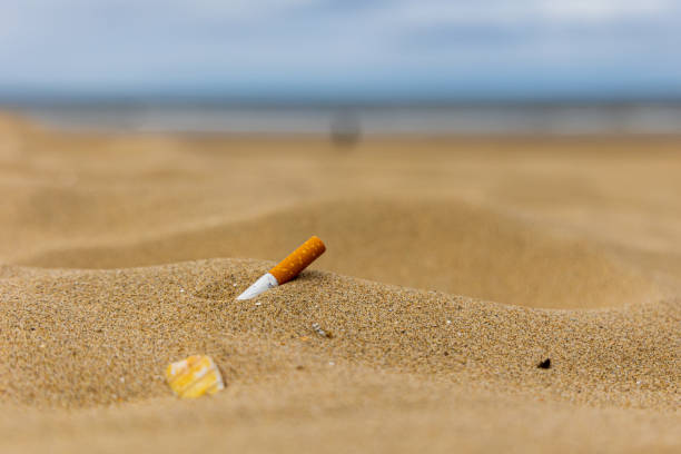 Natural beach with cigarette butt litter stock photo