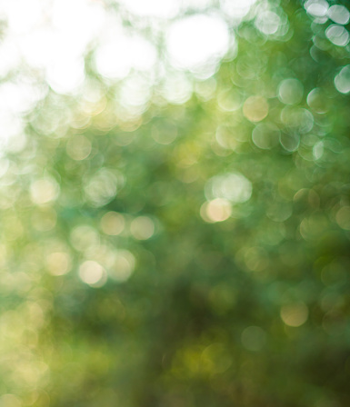 Natural Bokeh Abstract Background