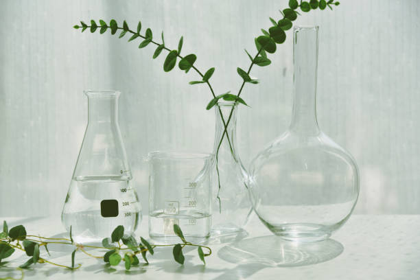 Natural drug research, Plant extraction in scientific laboratory glassware for cosmetic, Alternative green herb medicine, Minimal organic skincare beauty care, stock photo