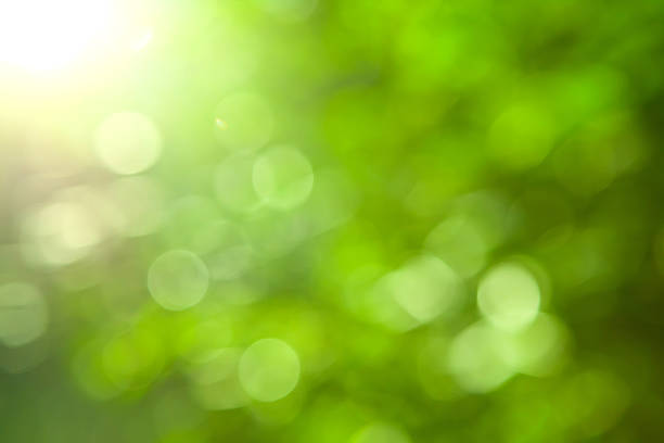 Natural green blurred background stock photo