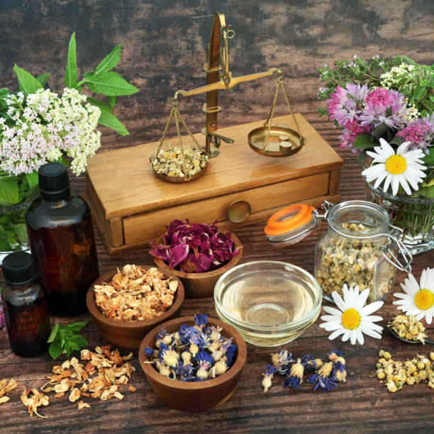 Natural Herbal Plant Medicine Preparation stock photo