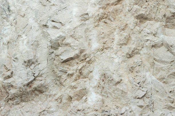 Natural limestone surface (shell stone, shell rock), background. Natural limestone surface (coquina, shell stone, shell rock), background. chalk rock stock pictures, royalty-free photos & images