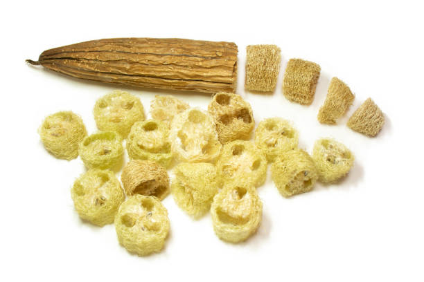 Natural loofah sponges. Eco-friendly concept. stock photo
