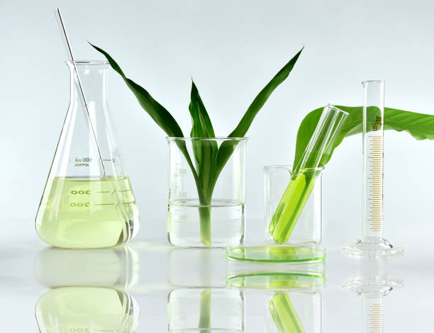 Natural organic botany and scientific glassware, Alternative herb medicine, Natural skin care beauty products, Research and development concept. Natural organic botany and scientific glassware, Alternative herb medicine, Natural skin care beauty products, Research and development concept. laboratory glassware stock pictures, royalty-free photos & images