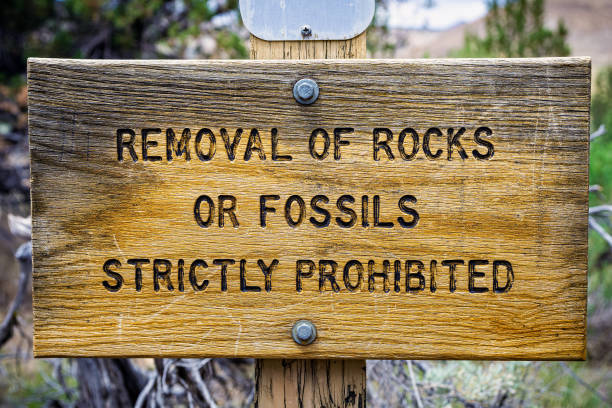 Natural park or site protection law wooden sign closeup. John Day Fossil beds National Monument, Oregon, USA. Natural park or site protection law wooden sign closeup. John Day Fossil beds National Monument, Oregon, USA. fossil site stock pictures, royalty-free photos & images