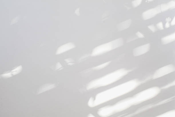 製品のプレゼンテーション、背景とモックアップ、夏の季節のコンセプトのオーバーレイのための白いテクスチャの背景に自然な影のオーバーレイ。テクスチャ 窓からの光の反射。 - 壁 ストックフォトと画像