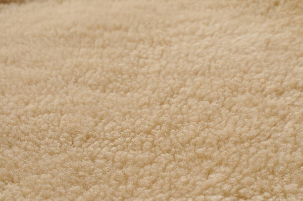 Natural Shearling Wool Background stock photo
