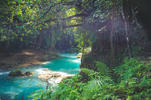 Natural spring in Ochos Rios Jamaica, the Blue Hole, beauty in nature stock photo