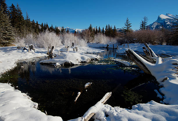 Natural spring in Winter stock photo