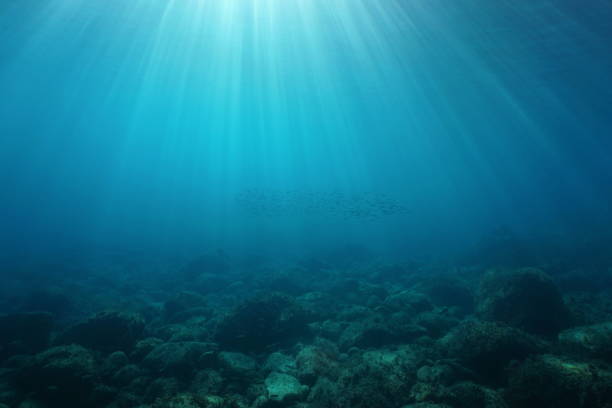 Natural sunbeams underwater with rocks on seabed stock photo