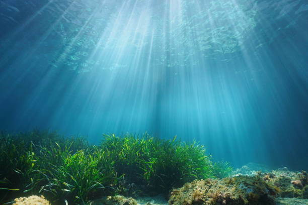 Natural sunlight underwater surface with seabed stock photo