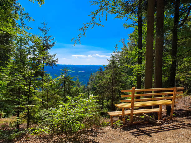 Natural viewpoint with a wooden bench in the foreground, Bavarian Forest Germany stock photo