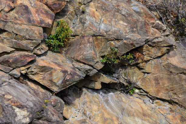 Nature Abstract: Pattern Created by Cracks and Crevices in a Solid Rock Wall Nature Abstract: Pattern Created by Cracks and Crevices in a Solid Rock Wall crag stock pictures, royalty-free photos & images