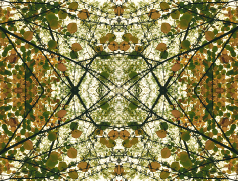 kaleidoscope