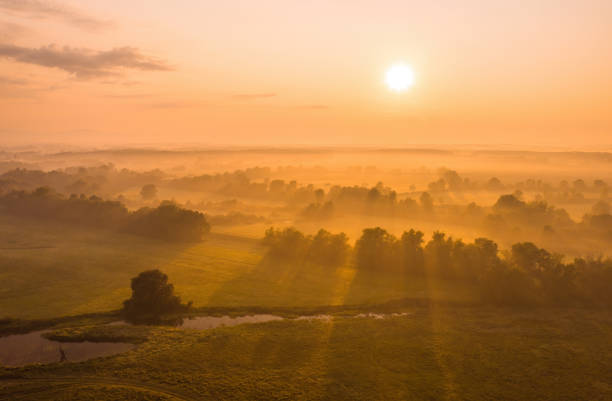 Nature scenery with sun rising above country covered in fog. Horizontal composition of nature scenery with sun rising above country covered in fog. Trees casting long shadows over meadows and river. Early morning in summer from aerial perspective. golden hour stock pictures, royalty-free photos & images