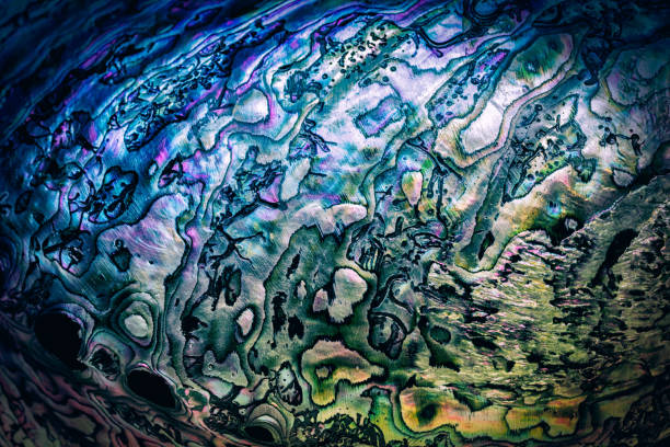 natuur structuurpatroon van nacre parelmoer binnenzijde van paua, perlemoen of abalone schelp sluiten van abstracte achtergrond - zeeland stockfoto's en -beelden