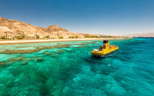 Nature with beautiful coral reefs of the Red Sea, Middle East stock photo