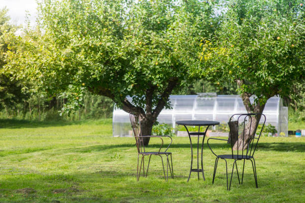 Nature_backyard_table_1 A table in a backyard during a summer day. greenhouse table stock pictures, royalty-free photos & images