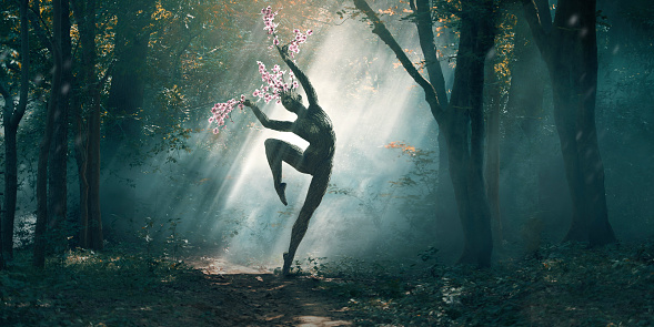 A tree in the shape of a female dancer striking a ballet pose with branches sprouting from head and fingers growing in a sun dappled forest. Perhaps personifying Nature, the tree is lit by shafts of sunlight coming through the trees.