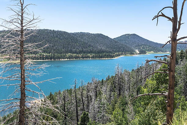 Navajo Lake in Dixie National Forest, Utah stock photo
