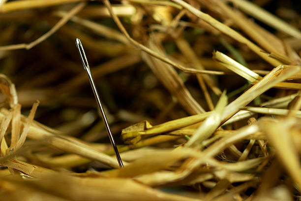 Needle in a hay stack stock photo