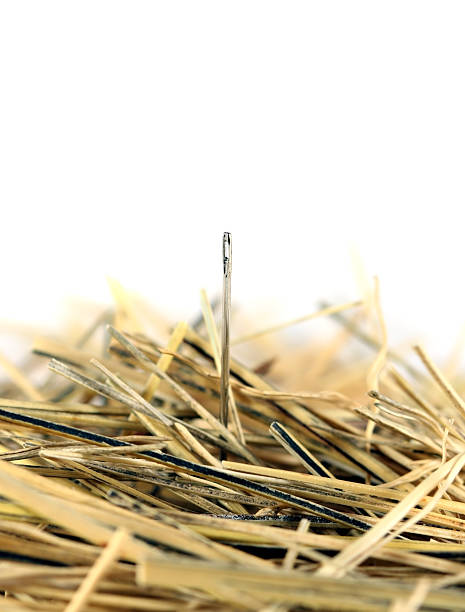 Needle in a haystack stock photo