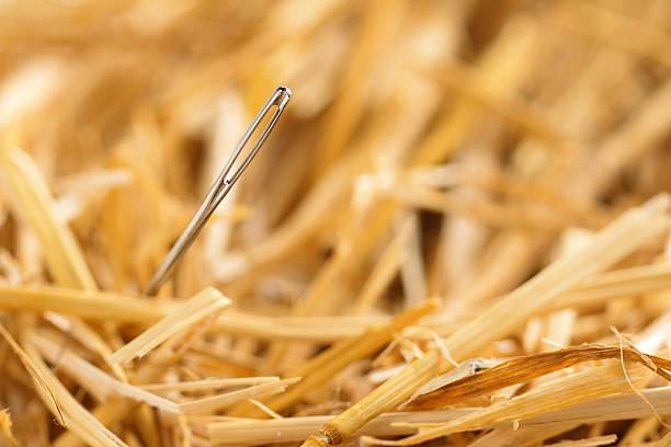 needle in haystack stock photo