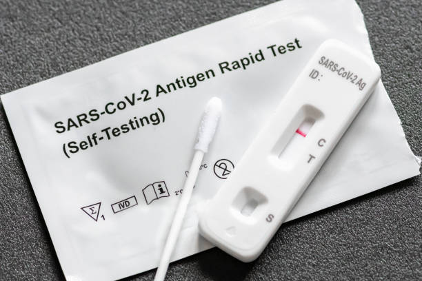 Negative Covid-19 antigen test kit Negative Covid-19 antigen test kit, one step coronavirus antigen rapid test, saliva swab, 1 test box with imagine of lungs, close up medical exams stock pictures, royalty-free photos & images