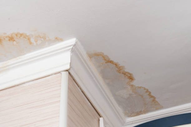 Neighbors have a water leak, water-damaged ceiling, close-up of a stain on the ceiling stock photo