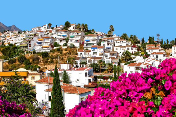 Nerja, Andalusia, Spain Malaga Province, Costa del Sol, Houses at and on the Hill, Balcony of Europe, Flowering Bougainvillea Pine, Date Palms nerja stock pictures, royalty-free photos & images