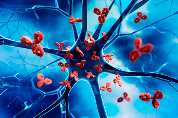 Nerve cell attacked by Antibodies stock photo