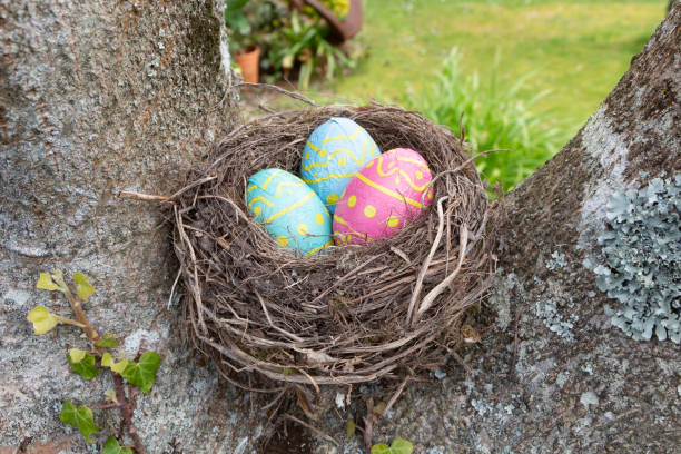 Nest with chocolate eggs for Easter stock photo