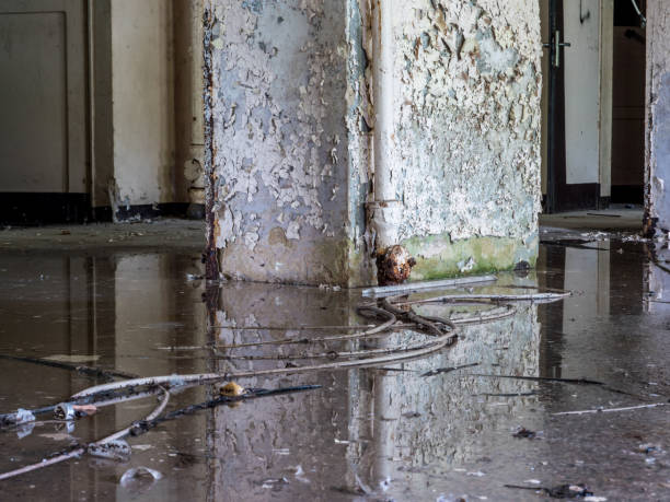 can you claim water damage on home insurance