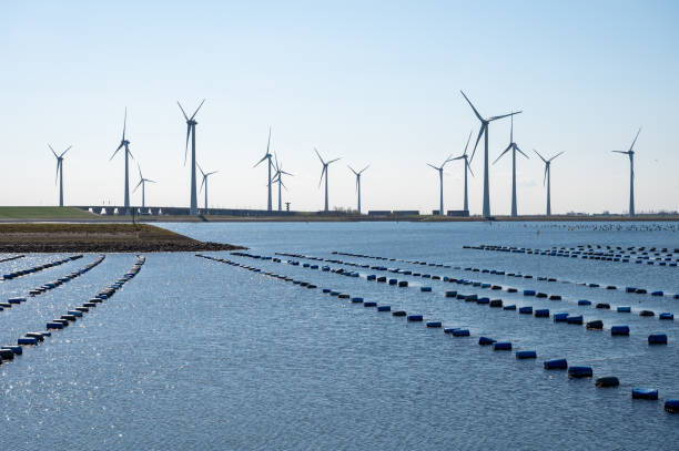 オランダ、ブルーイニッセ、ムール貝、オースターシェルデ河口でのムール貝の農業。デルタの作品や風車の一部であるグラヴェレンゲンダム - 脱炭素 ストックフォトと画像