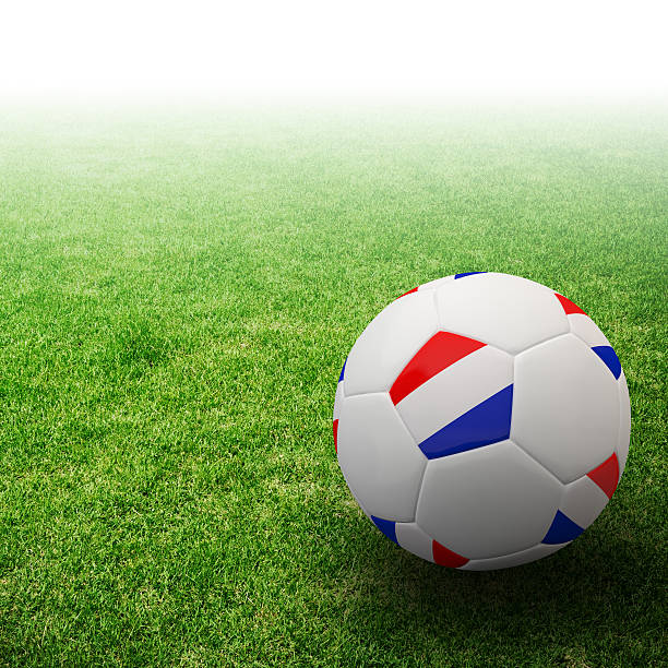 netherlands flag on 3d football in grass - michigan football stok fotoğraflar ve resimler