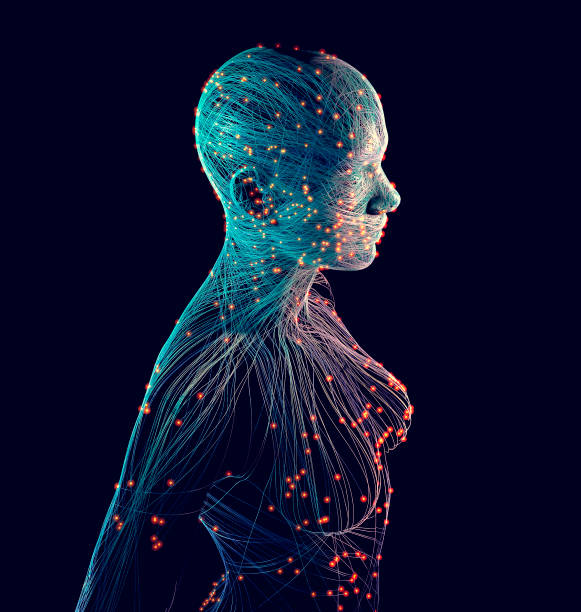 Neurology, philosophy: connections, the development of thought and reflection, the infinite possibilities of the brain and mind. Human anatomy. Digital reality, artificial consciousness stock photo