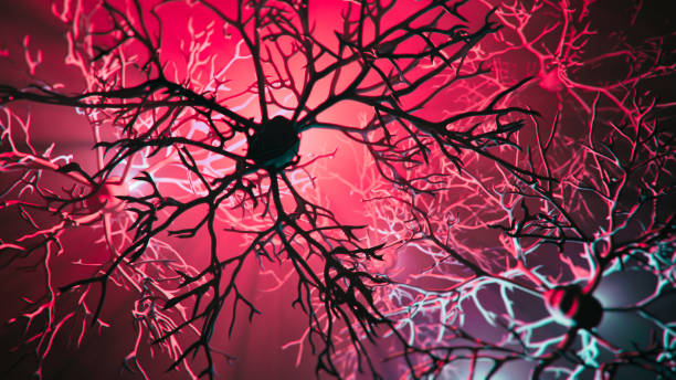 Neuron system disease Neuron cells system disease - 3d rendered image of Neuron cell network on black background. Interconnected neurons cells with electrical pulses. Conceptual medical image.  Glowing synapse.  Healthcare, disease concept. multiple sclerosis stock pictures, royalty-free photos & images