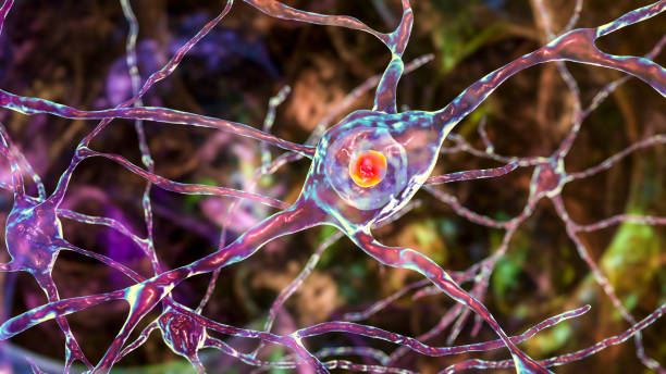 Neuronal intranuclear inclusions, 3D illustration stock photo